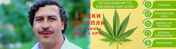 амф Кулебаки
