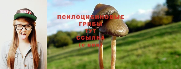 mix Кукмор