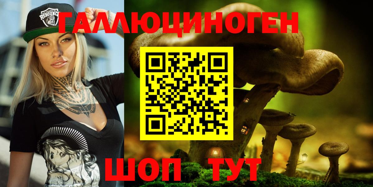 Галлюциногенные грибы Psilocybe Ухта