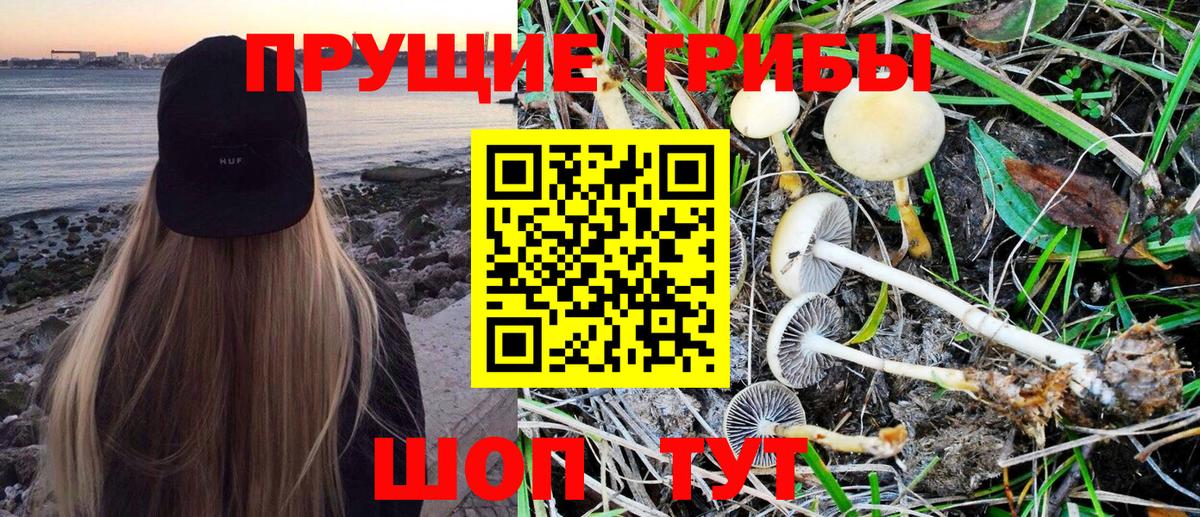 где купить наркотик  Галлюциногенные грибы Magic Shrooms  Вход с VPN  Ухта 